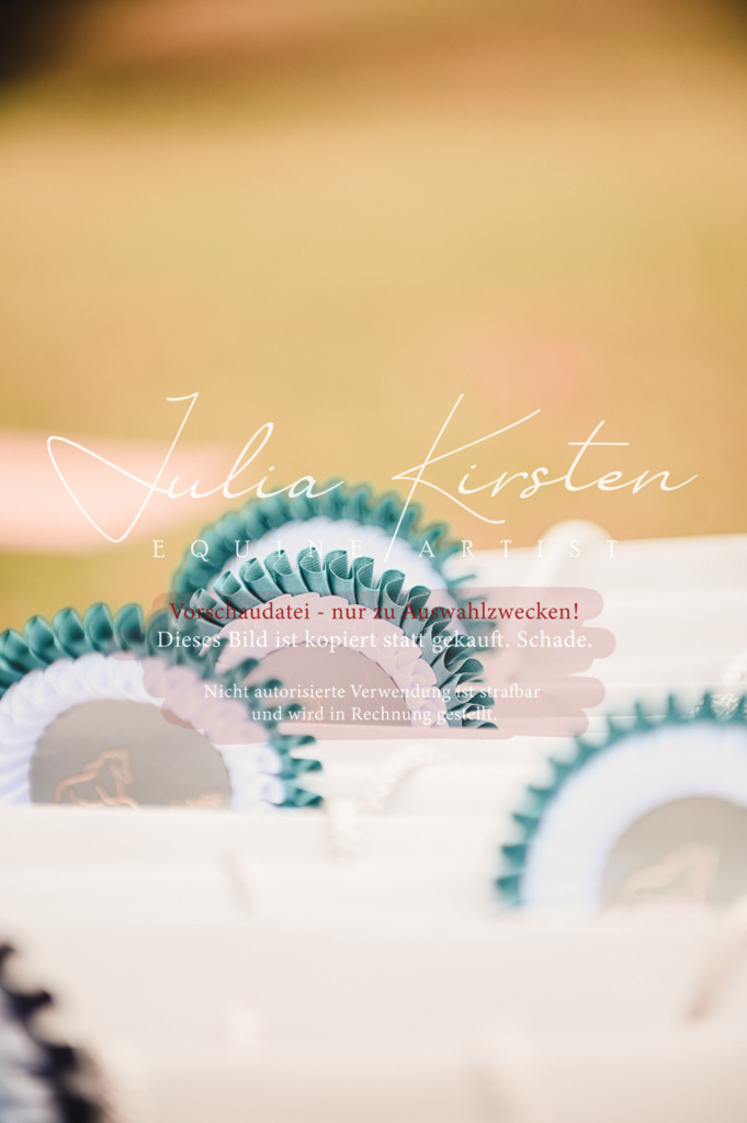 DSC_5390 | Pferde- und Turnierfotografie in Westsachsen. Pferdeportraits, Auftragszeichnungen und intuitive Kunst.