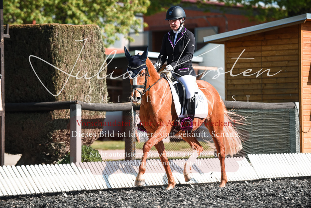 DSC_8446 | Pferde- und Turnierfotografie in Westsachsen. Pferdeportraits, Auftragszeichnungen und intuitive Kunst.