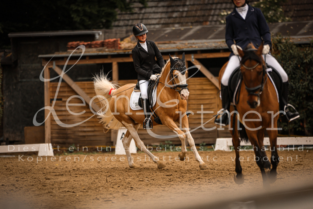 DoDrE00370 | Leoni Ertmer Photography - Realisiert mit Pictrs.com