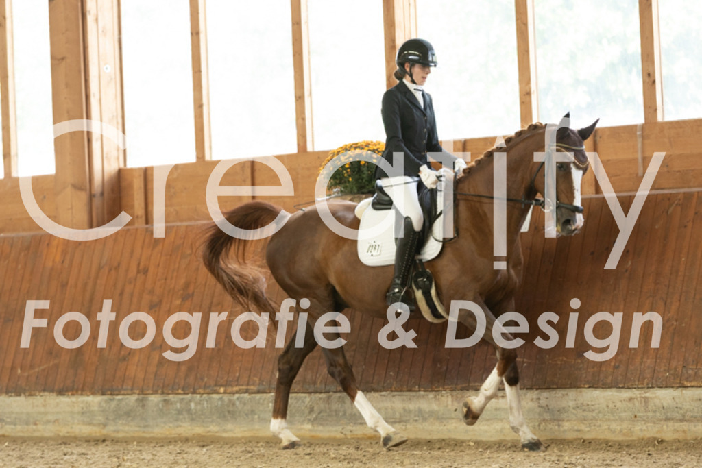 IMG_1409 | Creatify Fotografie