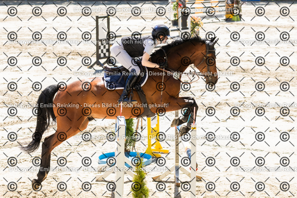 CL5A2505 | Emilia Reinking Fotografie - Realisiert mit Pictrs.com