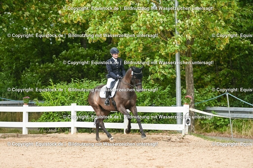 20230716_01_Dressurprüfung Kl.M_0416 | equistock