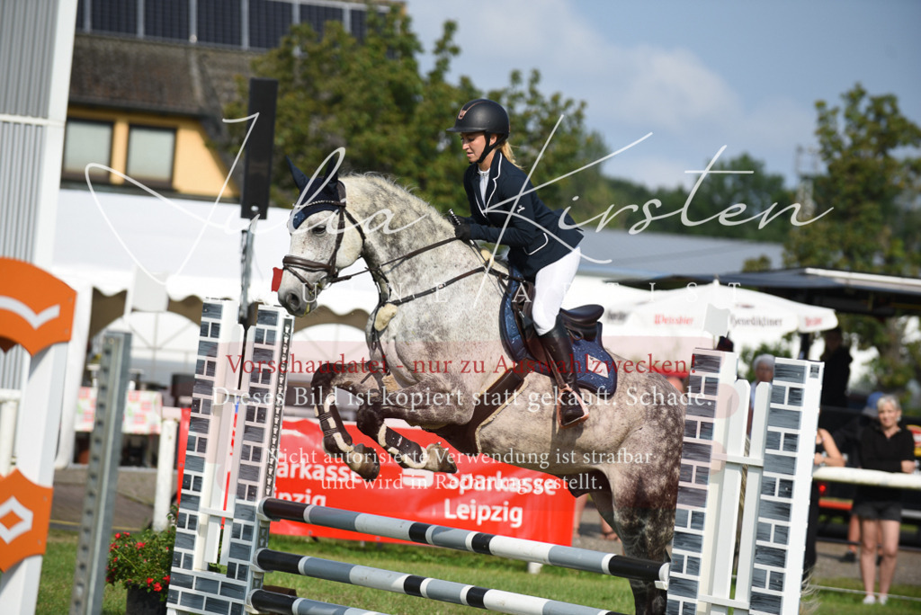 DSC_8765 | Pferde- und Turnierfotografie in Westsachsen. Pferdeportraits, Auftragszeichnungen und intuitive Kunst.