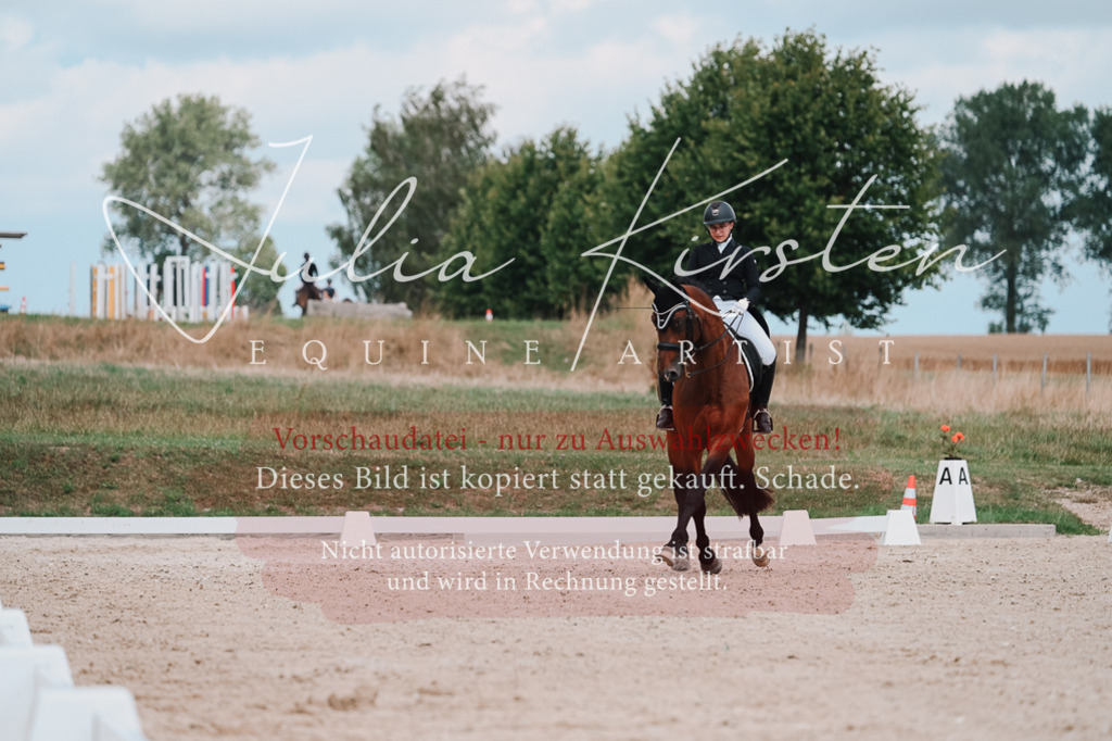 DSC_4366 | Pferde- und Turnierfotografie in Westsachsen. Pferdeportraits, Auftragszeichnungen und intuitive Kunst.