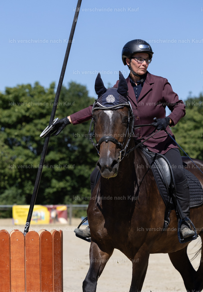 WE_Trail_32_KerstinBernhardt-10 | working equitationturnier fotograf videograf stoibphotography marixx film working equitation deutschland reitsport turnierfotografie eventfotografie equestrian events