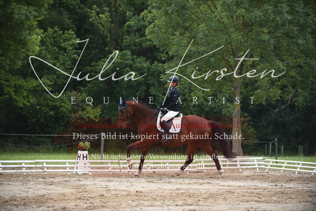 DSC_0235 | Pferde- und Turnierfotografie in Westsachsen. Pferdeportraits, Auftragszeichnungen und intuitive Kunst.