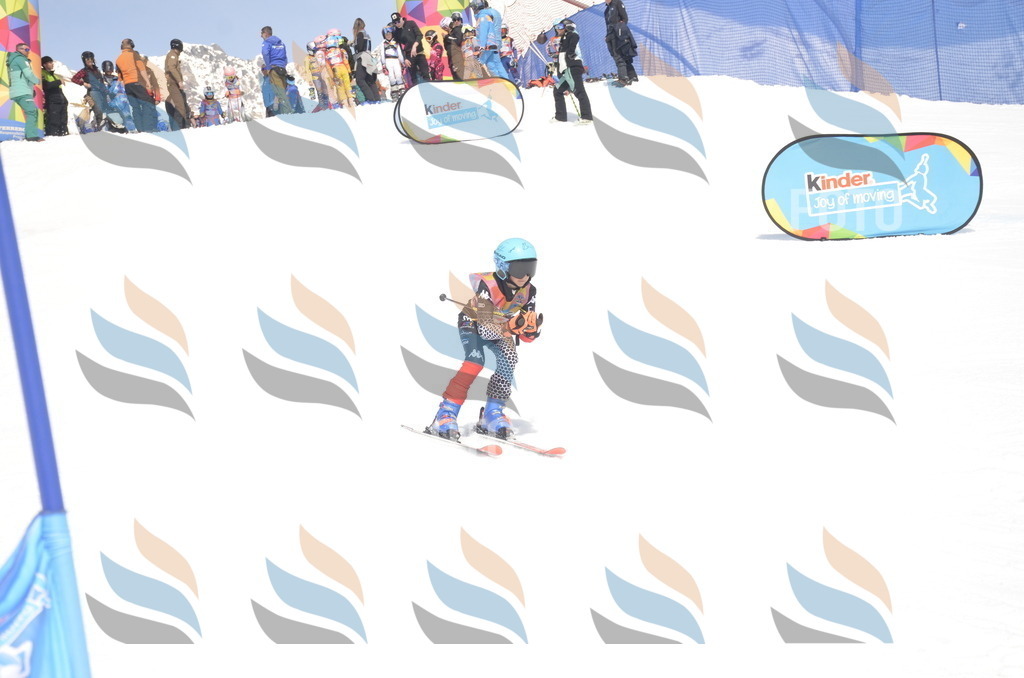 _ELE8955 | holidayphoto