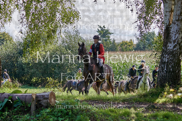 08-23 Bredeneek Jagd_MCH9342_Marina Hewig | Fotografie, FotoArt, PferdesportArt, Pferdesportfotografie, Landschaftsfotografie, Reisefotografie, Reise, Pferde - Realisiert mit Pictrs.com