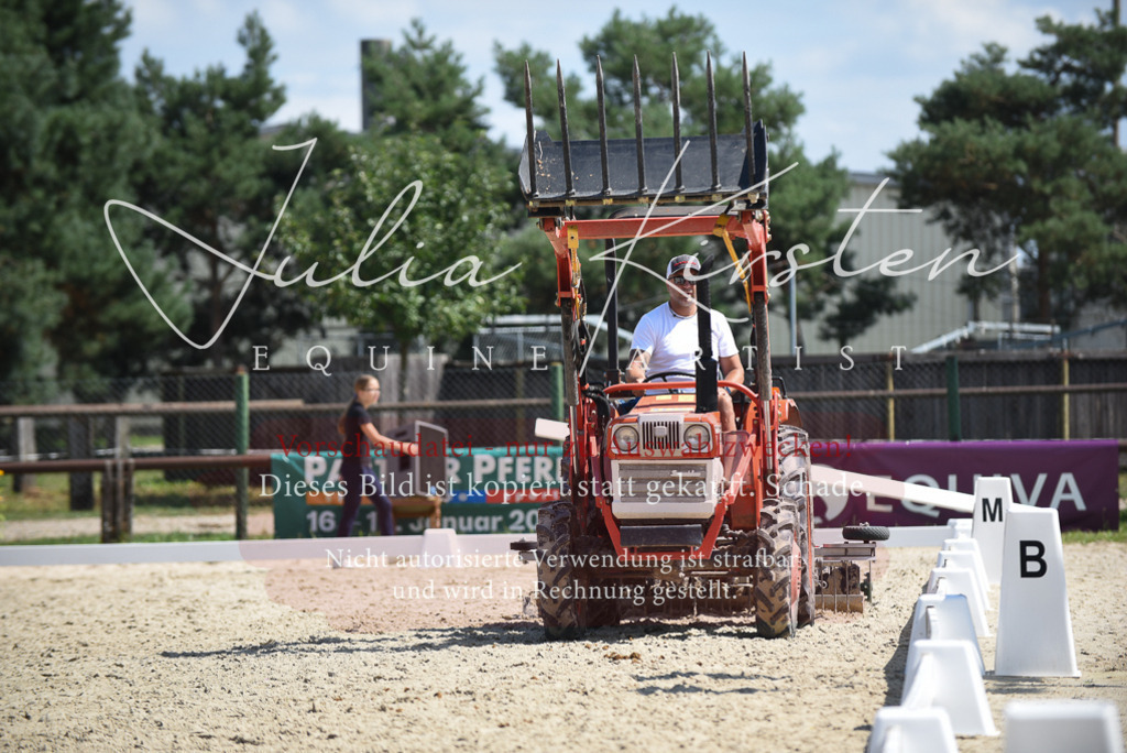 DSC_8875 | Pferde- und Turnierfotografie in Westsachsen. Pferdeportraits, Auftragszeichnungen und intuitive Kunst.