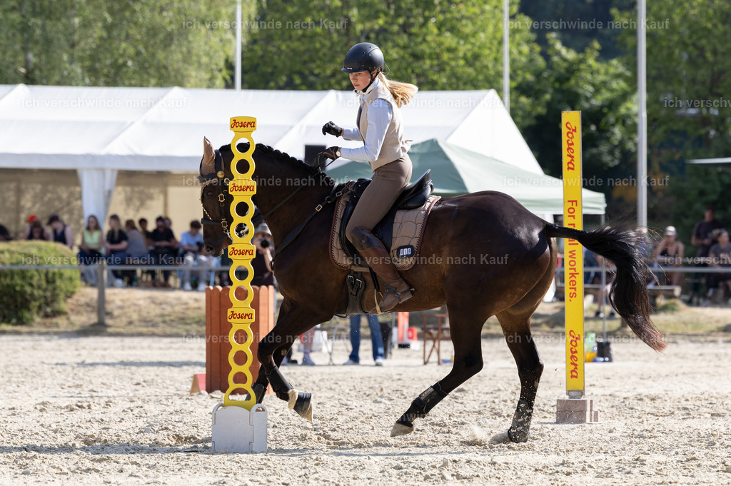 WS_SPEED_19_KerstinBernhardt-4 | working equitationturnier fotograf videograf stoibphotography marixx film working equitation deutschland reitsport turnierfotografie eventfotografie equestrian events