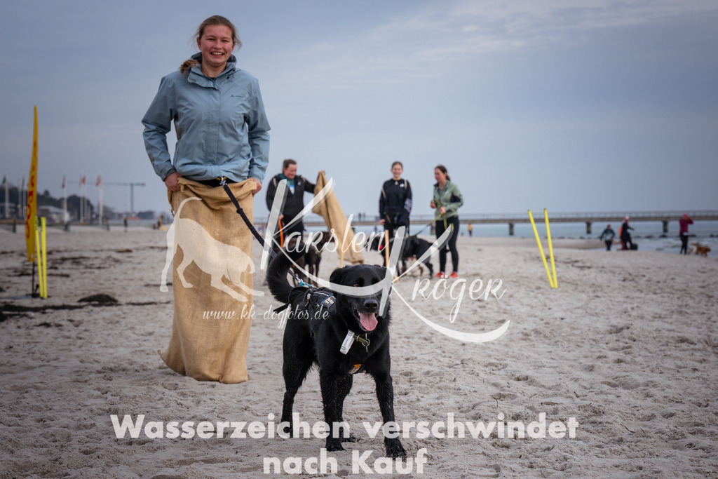 1259_ZZ97537 | kk-dogfotos