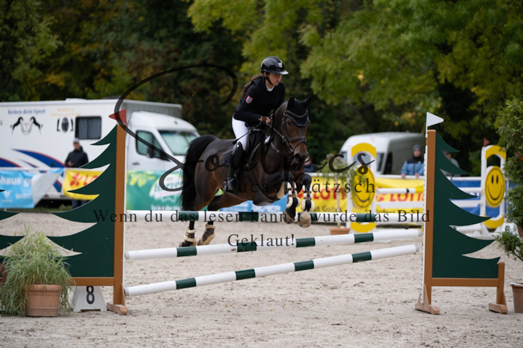 A7V09413 | Pferdefotograf