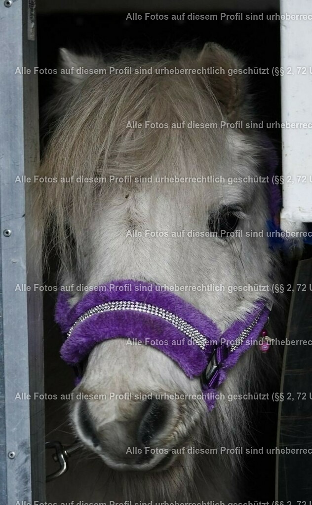 185fcfa67d0511971dcb3dfb5b780aaf | krollfotografie - Realisiert mit Pictrs.com