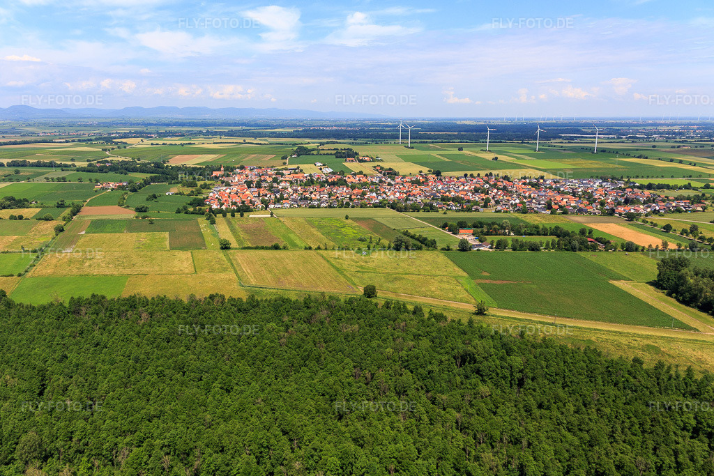 Luftbild: Ortsansicht von Süden in Minfeld im Bundesland Rheinland-Pfalz in Deutschland. Foto: IMG_127218.jpg vom 26.06.2021 durch Werner Riehm/FLY-FOTO.de