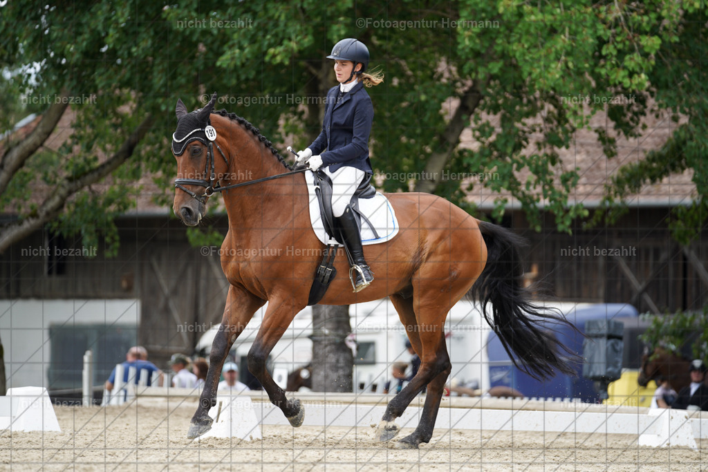 20230826-FAH05692 | Forstinning, 2023, Dressurturnier, Turniersportbilder, Turnierfotografen Bayern, Fotoagentur Herrmann, Reitsportfotografie, Turnierbilder