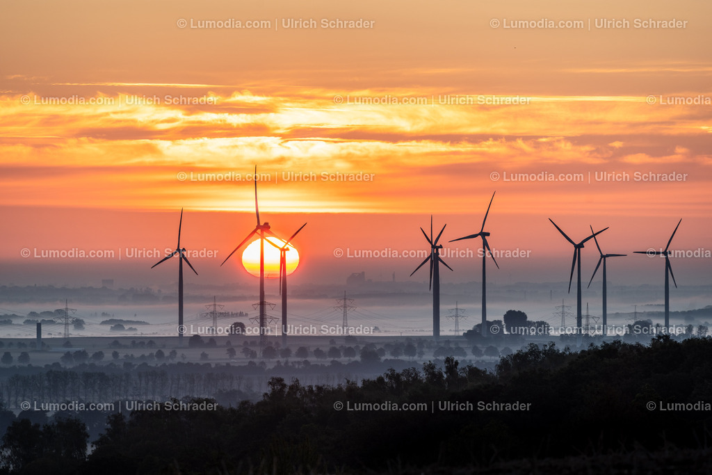 10049-12521 - Morgenstimmung | Stockfoto und Bilderpool mit Bildmaterial aus Deutschland, dem Harz, Halberstadt, Quedlinburg, Wernigerode und weltweit. Qualitativ hochwertige und professionelle Fotos anschauen und kaufen. - Realisiert mit Pictrs.com