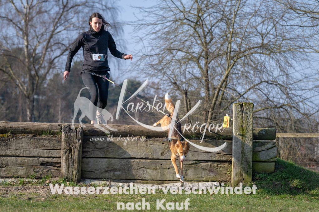 _ZZ94531 | kk-dogfotos