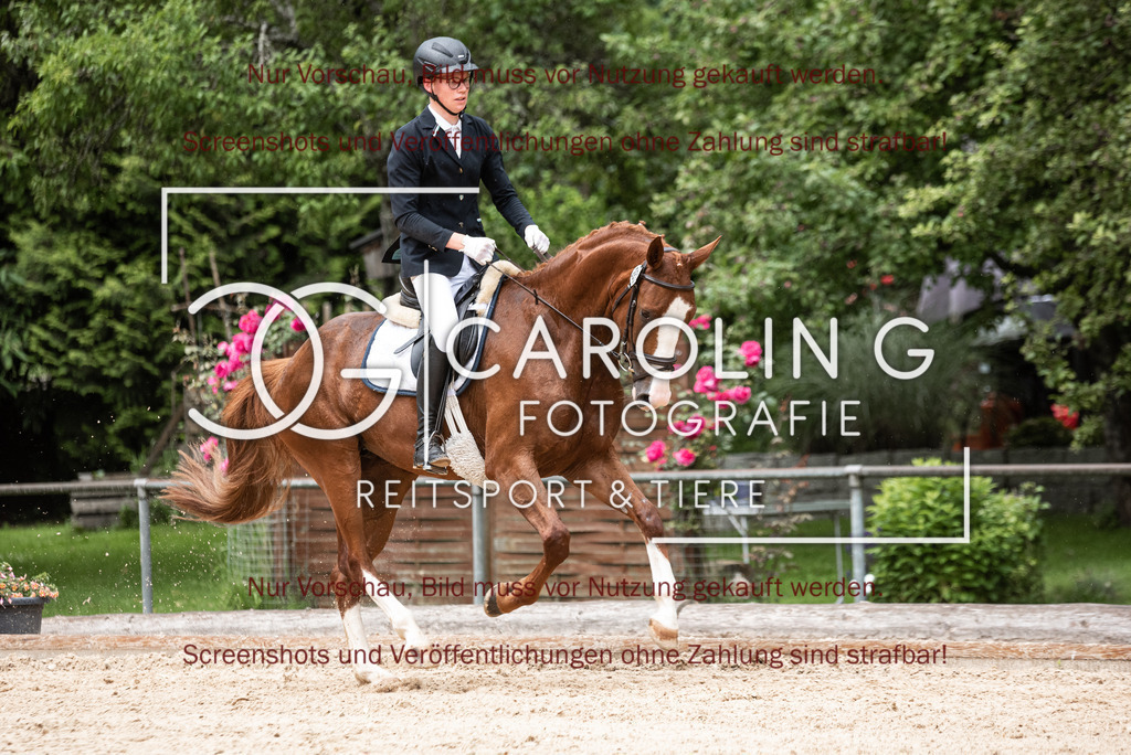DSC_3076 | Turnierfotografin Carolin Gieschke,Reitsport Turnierfotografie Carolin G Fotografie | Turnierfotos aus Kirchheim/Teck, Esslingen, Stuttgart und dem Bodenseekreis