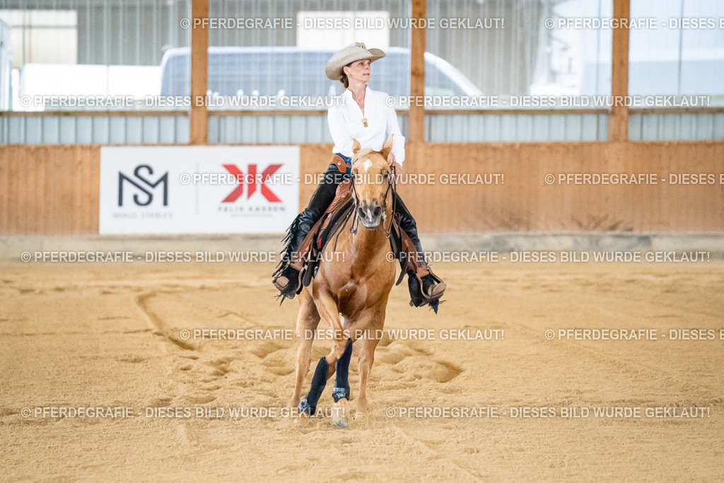 DSC08745 | Pferdegrafie