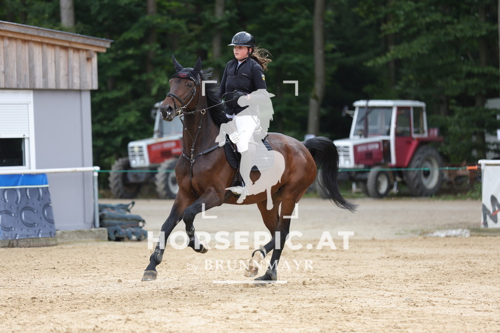 0P6A6815 | Willkommen bei Brunnmayr - Design & Fotografie – Ihrem Spezialisten für Reitturniere und Pferdeveranstaltungen in Oberösterreich, Salzburg und Bayern! Seit über 17 Jahren sind wir leidenschaftlich dabei.