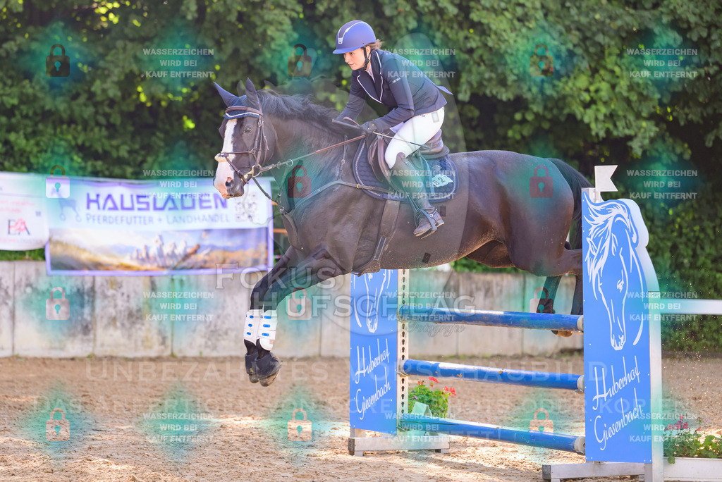 30082026-Giesenbach-Prfg16-0376 | Fokus Hufschlag Fotografie - Realisiert mit Pictrs.com