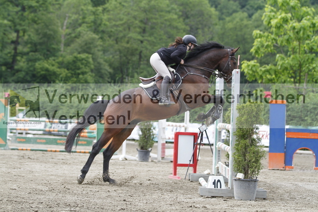 _MG_9376 | equestrian-live-com