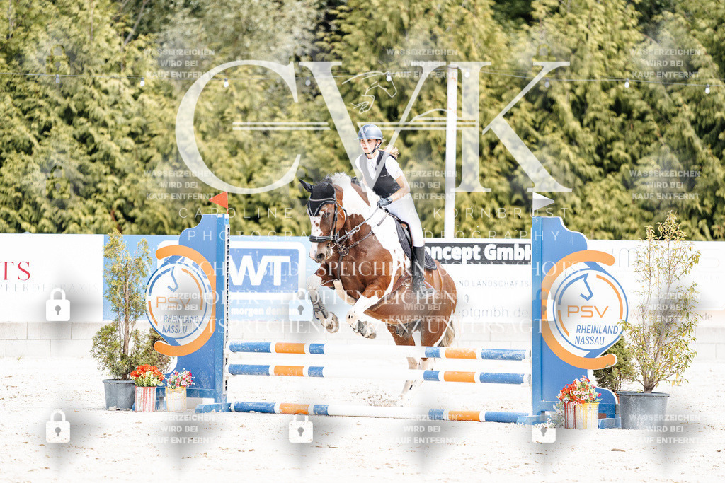 CK906744 | Turnierfotografie Pferdefotografie Trier Rheinland-Pfalz Pferdesport Reitsport Tierfotografie Sportfotografie Pferdevideo Pferdevideografie Equestrianvideography equestrianphotography  - Realisiert mit Pictrs.com