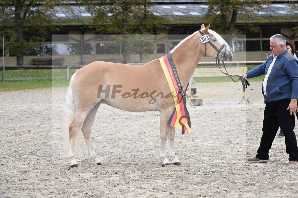 Kat-Nr. 303 Balea_Werthmann_54223494 | hf-fotografie - Realisiert mit Pictrs.com
