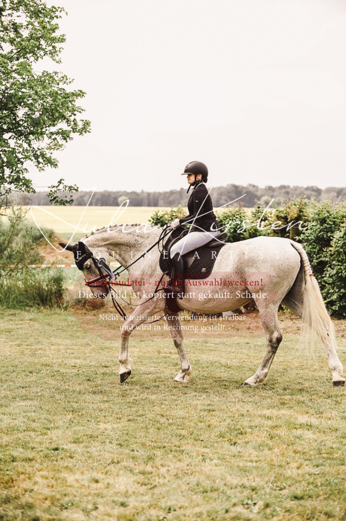 DSC_5189 | Pferde- und Turnierfotografie in Westsachsen. Pferdeportraits, Auftragszeichnungen und intuitive Kunst.
