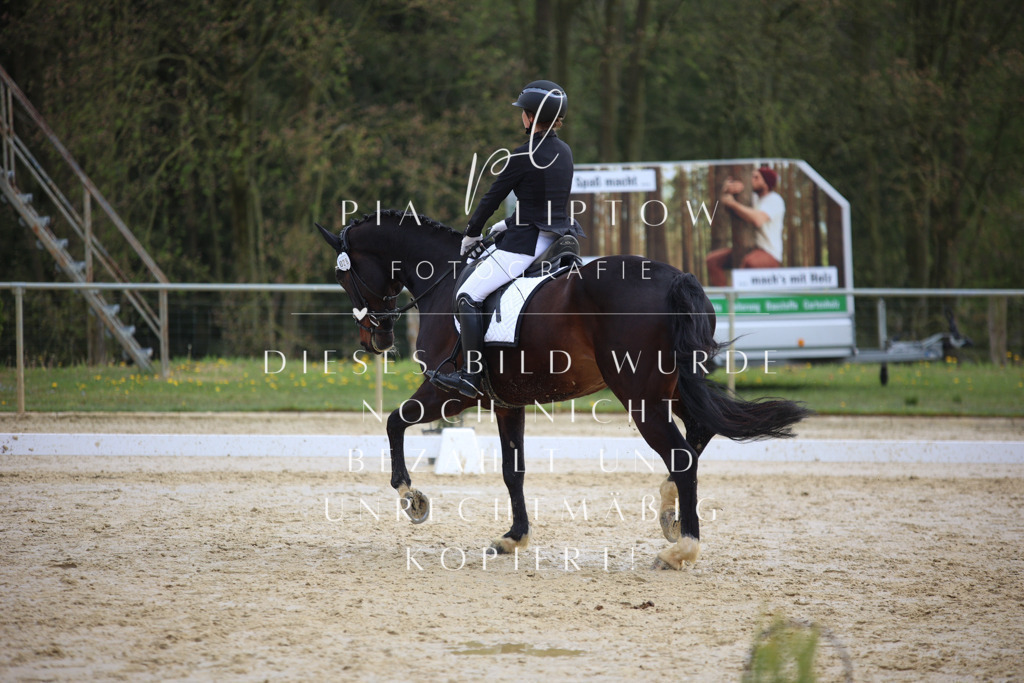 IMGT5376 | pl-fotografie