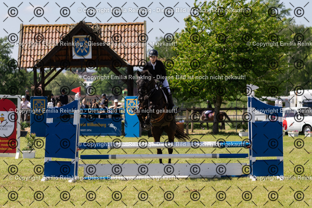 CL5A1011 | Emilia Reinking Fotografie - Realisiert mit Pictrs.com