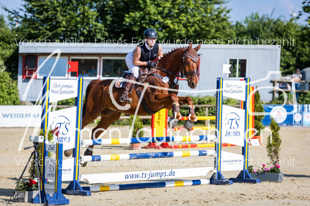 Donop24-ASpr-016 | MomenTaufnahmen Pferdesportfotos