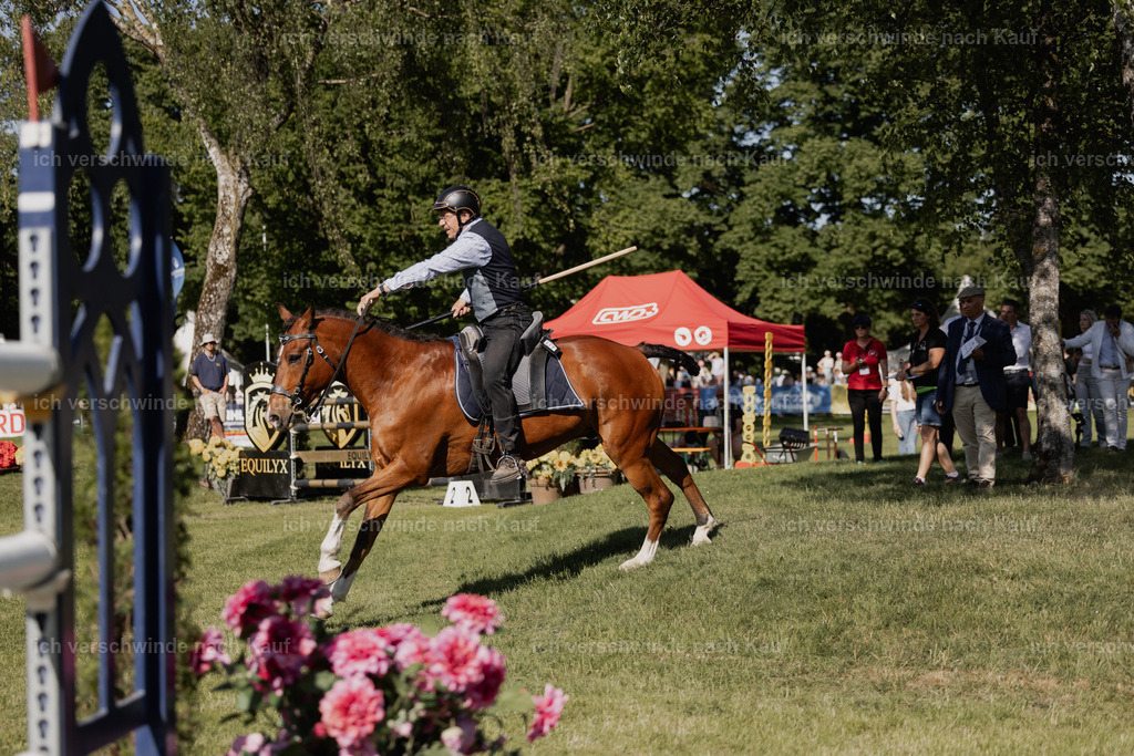 _AM28877 | Pferd International München 2025