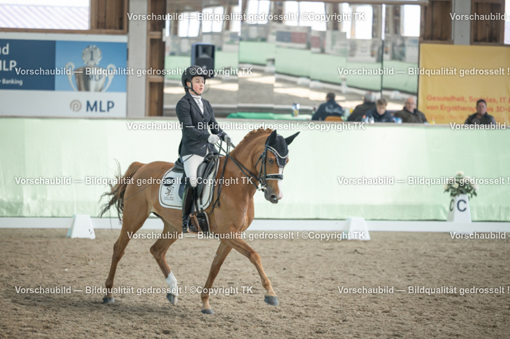 _D5A2586 | Emotionale Pferde- & People-Fotografie rund um Heidelberg, Leimen & Umgebung. Natürliche Fotos von Pferd, Mensch & Familie. Jetzt Termin sichern!