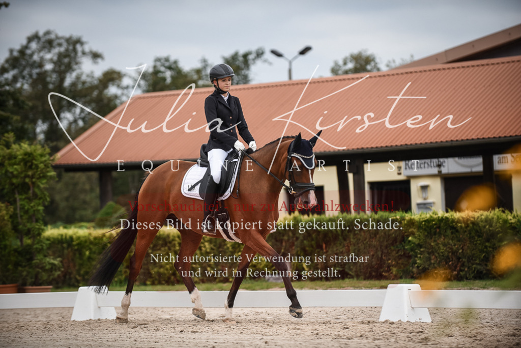 DSC_8419 | Pferde- und Turnierfotografie in Westsachsen. Pferdeportraits, Auftragszeichnungen und intuitive Kunst.