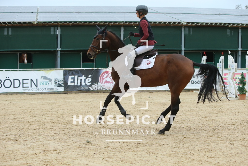 DL2Q4200 | Willkommen bei Brunnmayr - Design & Fotografie – Ihrem Spezialisten für Reitturniere und Pferdeveranstaltungen in Oberösterreich, Salzburg und Bayern! Seit über 17 Jahren sind wir leidenschaftlich dabei.