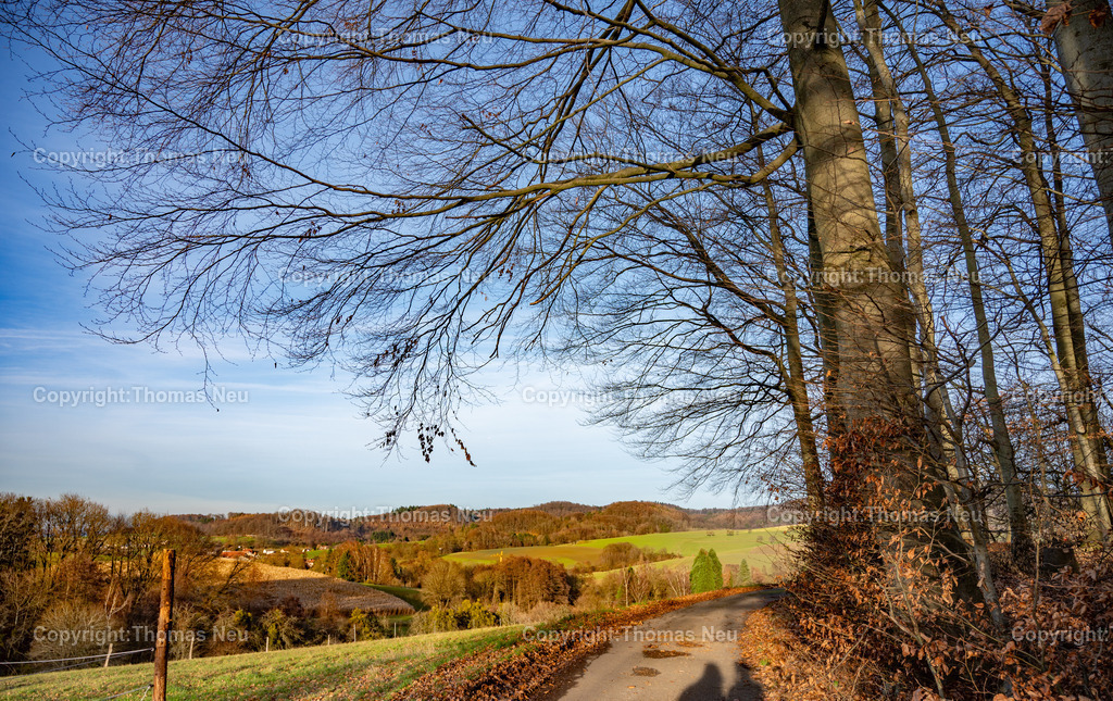 Odenwald_Kolmbach_Winterspaziergang_Fotografie_Thomas-Neu-6 | Winterliche Odenwald-Landschaft bei Lindenfels: Feldwege, Wiesen und Weitblicke rund um Kolmbach – ruhige Naturfotografie von Thomas Neu.