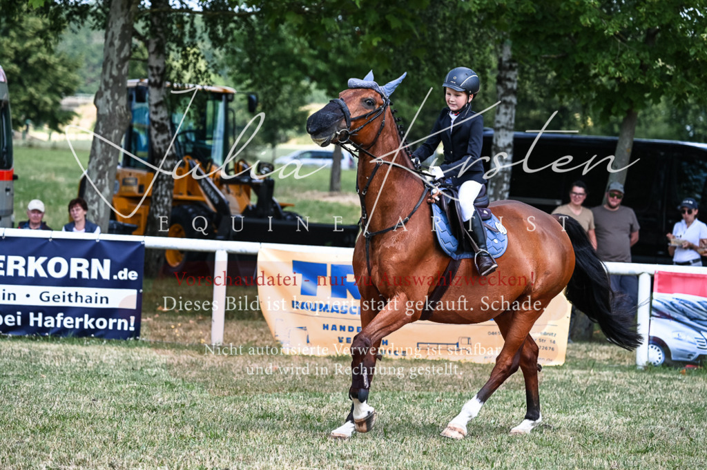 DSC_9687 | Pferde- und Turnierfotografie in Westsachsen. Pferdeportraits, Auftragszeichnungen und intuitive Kunst.