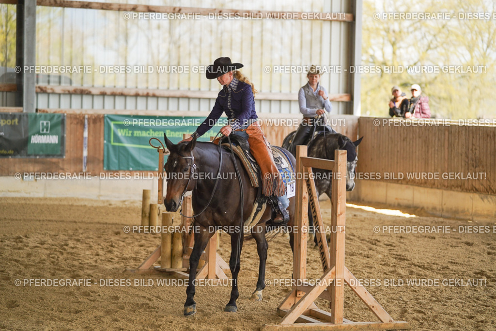 DSC03452 | Pferdegrafie