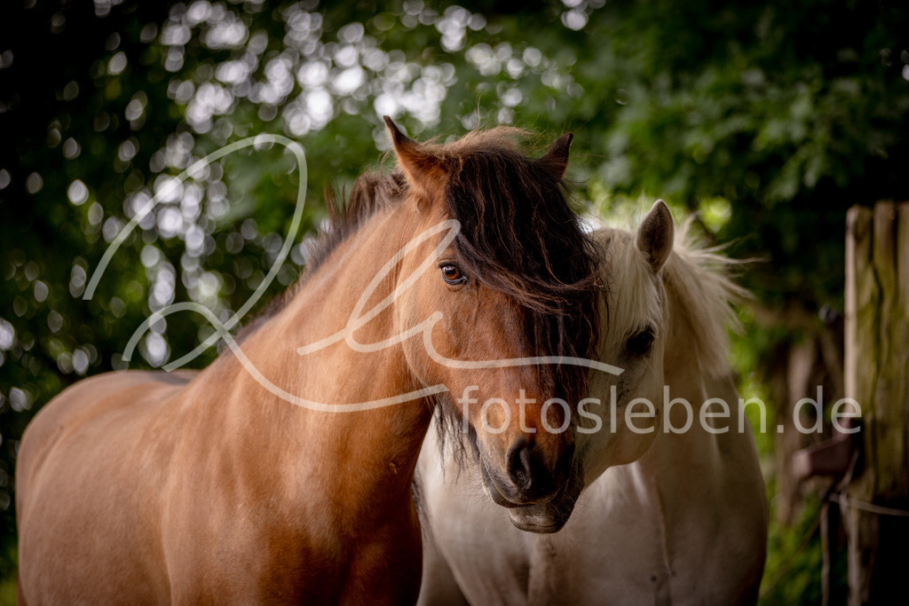 846A0455 | fotosleben - Realisiert mit Pictrs.com