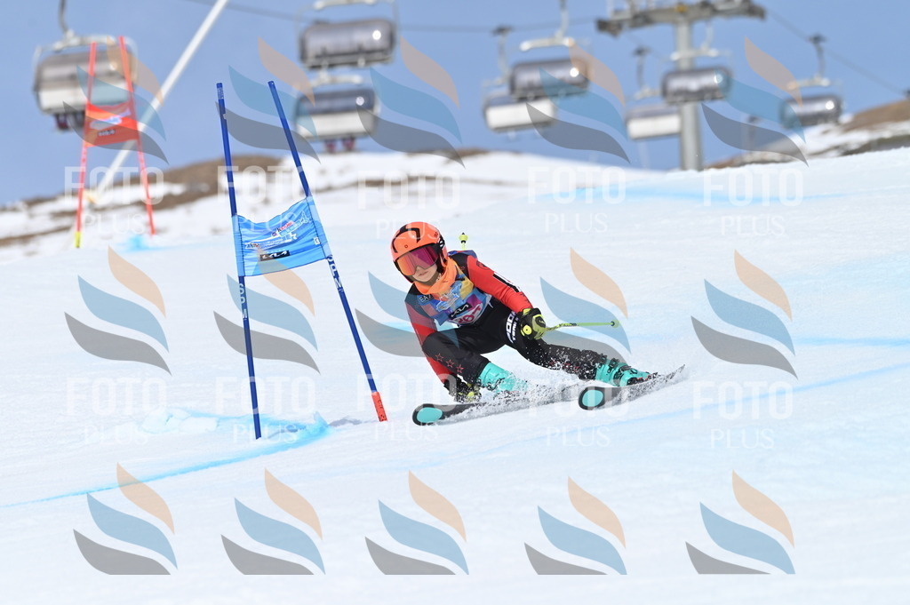 BGV_2149 | holidayphoto