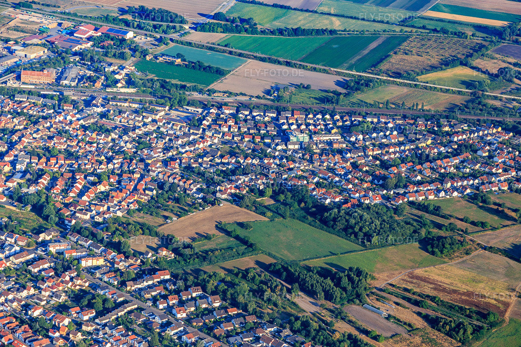 Luftbild: Mutterstadter Straße in Schifferstadt im Bundesland Rheinland-Pfalz in Deutschland. Foto: IMG_109584.jpg vom 31.07.2018 durch Werner Riehm/FLY-FOTO.de