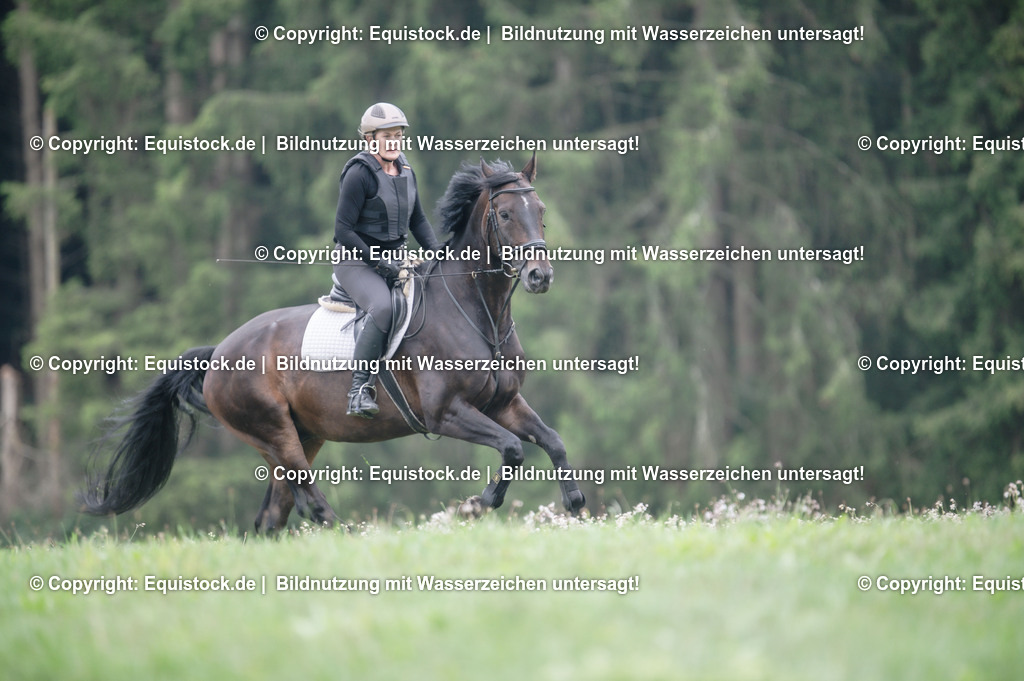 20250726_Vielseitigkeitslehrgang-Marbach_0352 | Foto: Thomas Hartig