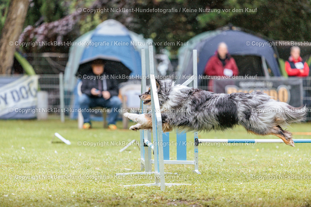 RO-Blumenthal-2026-Nickbest-Hundefotografie-3580 | Dein Hund! Dein Moment! Deine Erinnerungen! Hundefotografie in Bremen Blumenthal. Ich fange die besonderen Momente deines Vierbeiners ein – ob Indoor mit Blitzanlage oder in der freien Natur. Sicher dir dein Moment und dein Termin für eure Erinnerungen.