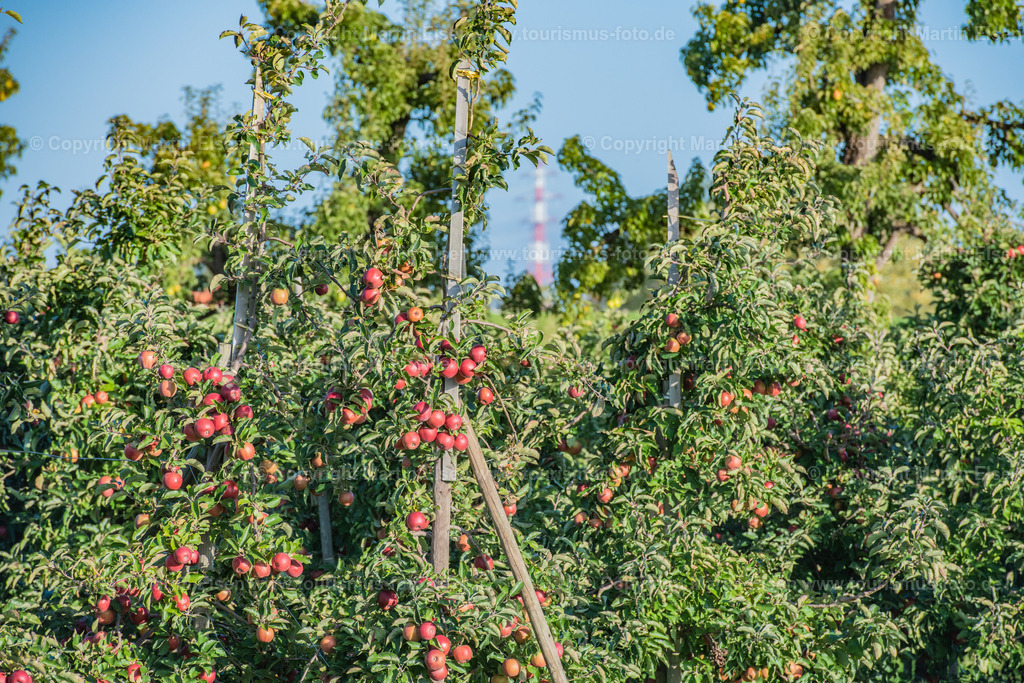 Altes Land Tourismus_ELS_5535061022 | Fotos aus den Touristenorten aus Norddeutschland. - Realisiert mit Pictrs.com