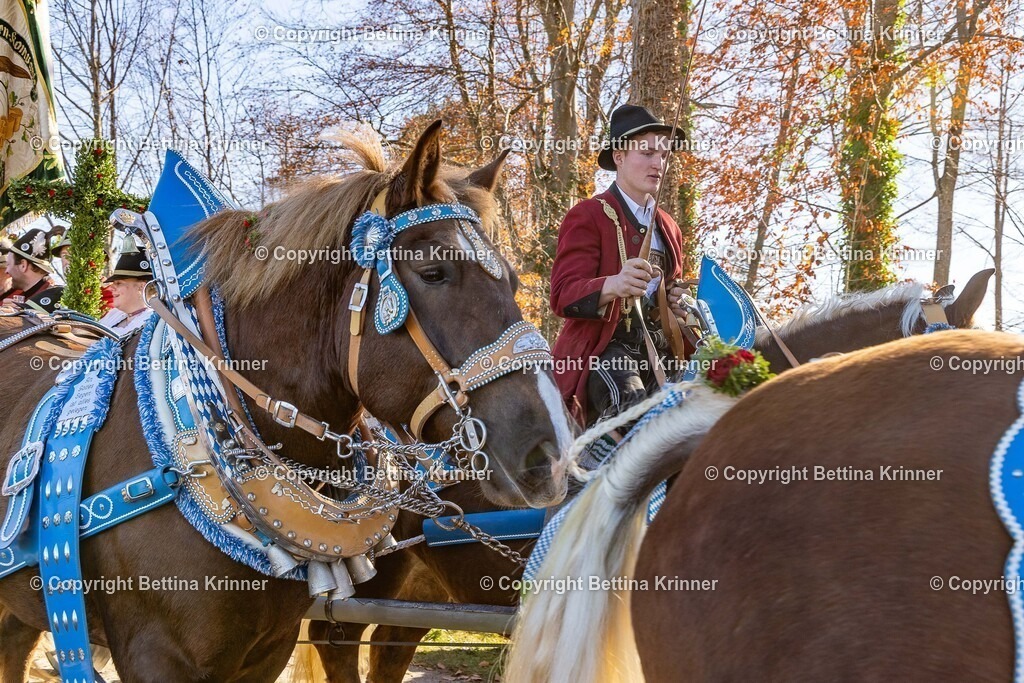LBT25-1436 | foto-bettina-krinner - Realisiert mit Pictrs.com