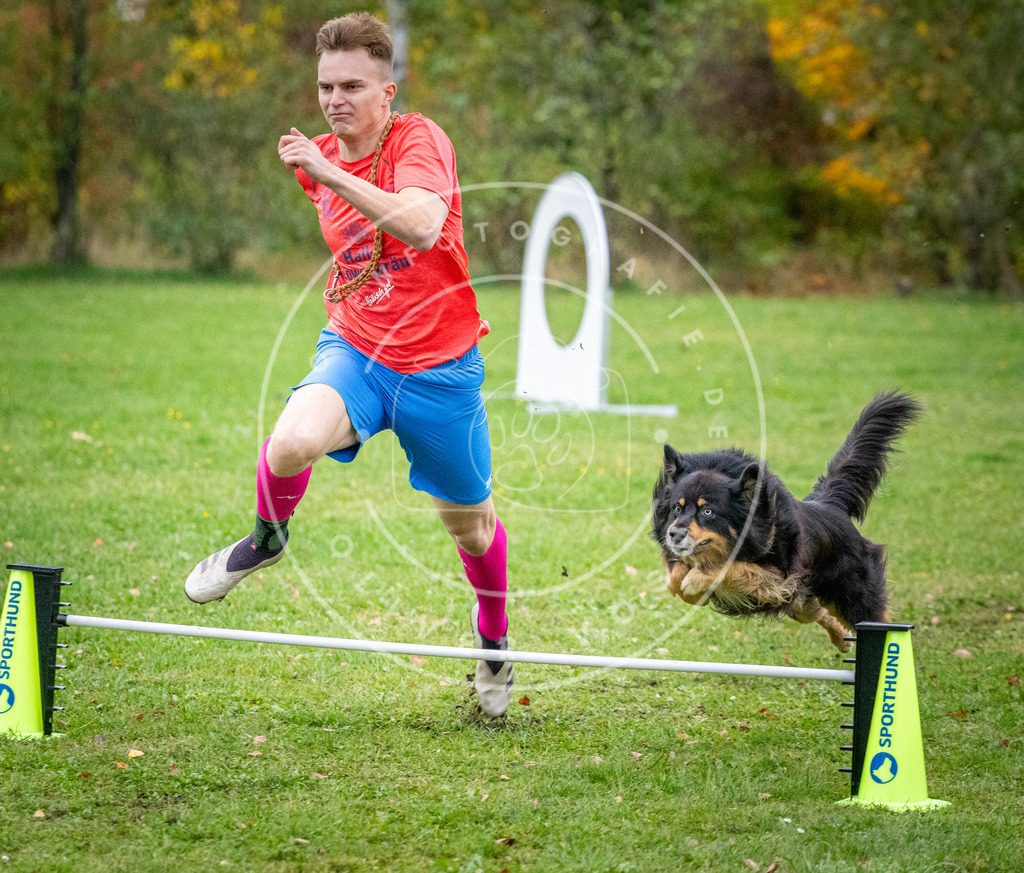 Pfotenfotografie_DV3A1432 | Hundefotografie, Tierfotograf, Pfotenfotografie, Fotoshooting Hund, Hunde Portrait, Hundesport, Hundeportraits, Heideshooting, Hunde, Sportfotograf, Hundefotograf, Turnierhundsport, THS,  - Realisiert mit Pictrs.com