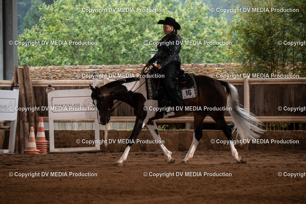 Erbach Tag 4-304 | dv-media-shop - Realisiert mit Pictrs.com