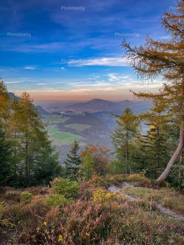 IMG_3313 | phototaetig