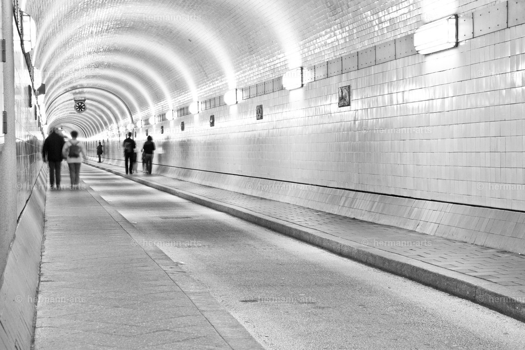 Hamurg_Arts-002 | Photo Foto Kunst Art schwarzweiss Bilder Rheine Münster Berlin Blumen 